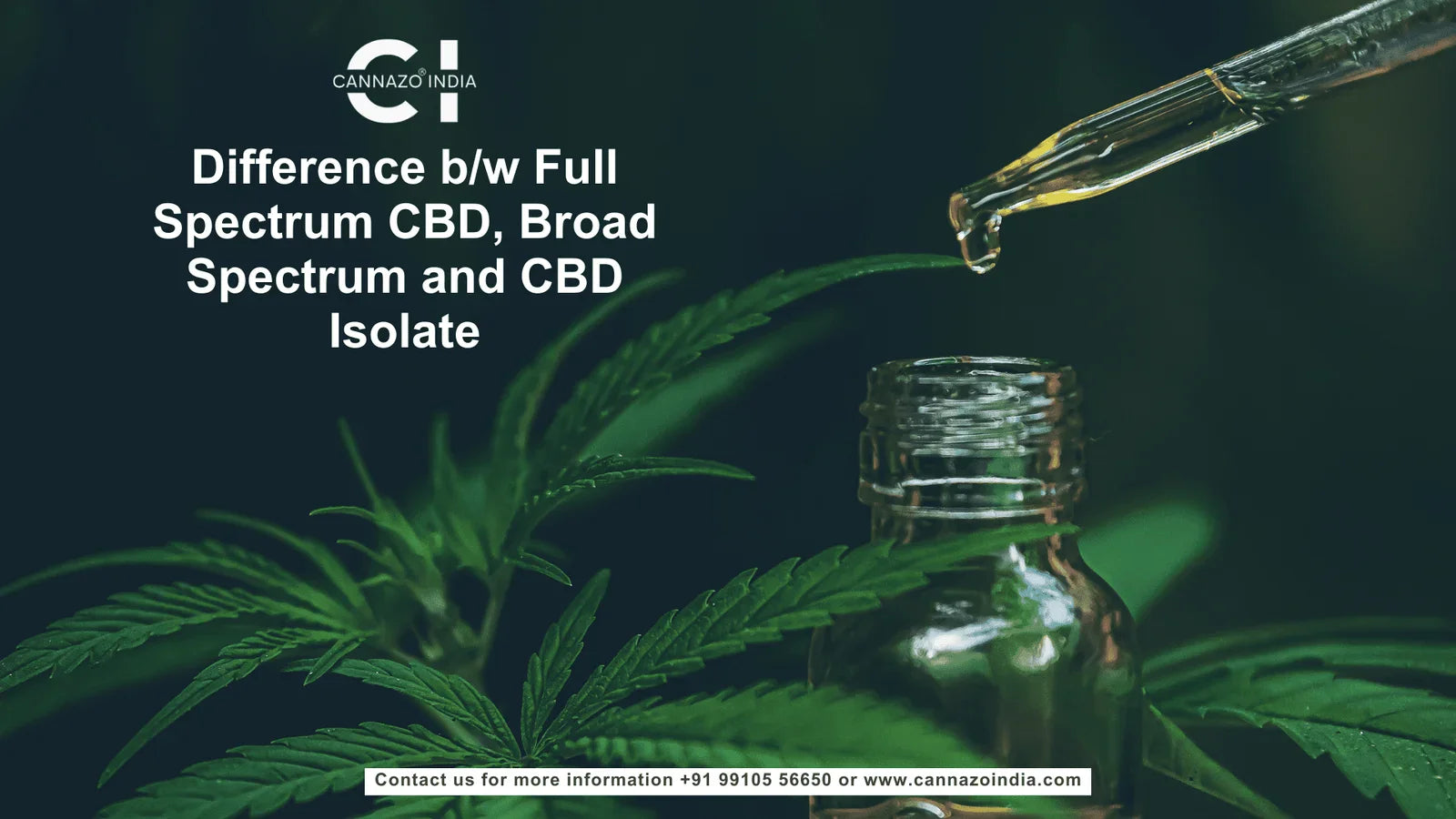 Difference b/w Full Spectrum CBD, Broad Spectrum and CBD Isolate