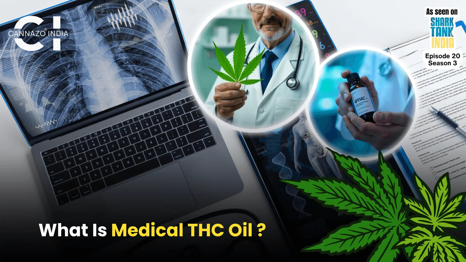 What Is Medical THC Oil? Benefits, Uses & Legal Status Explained