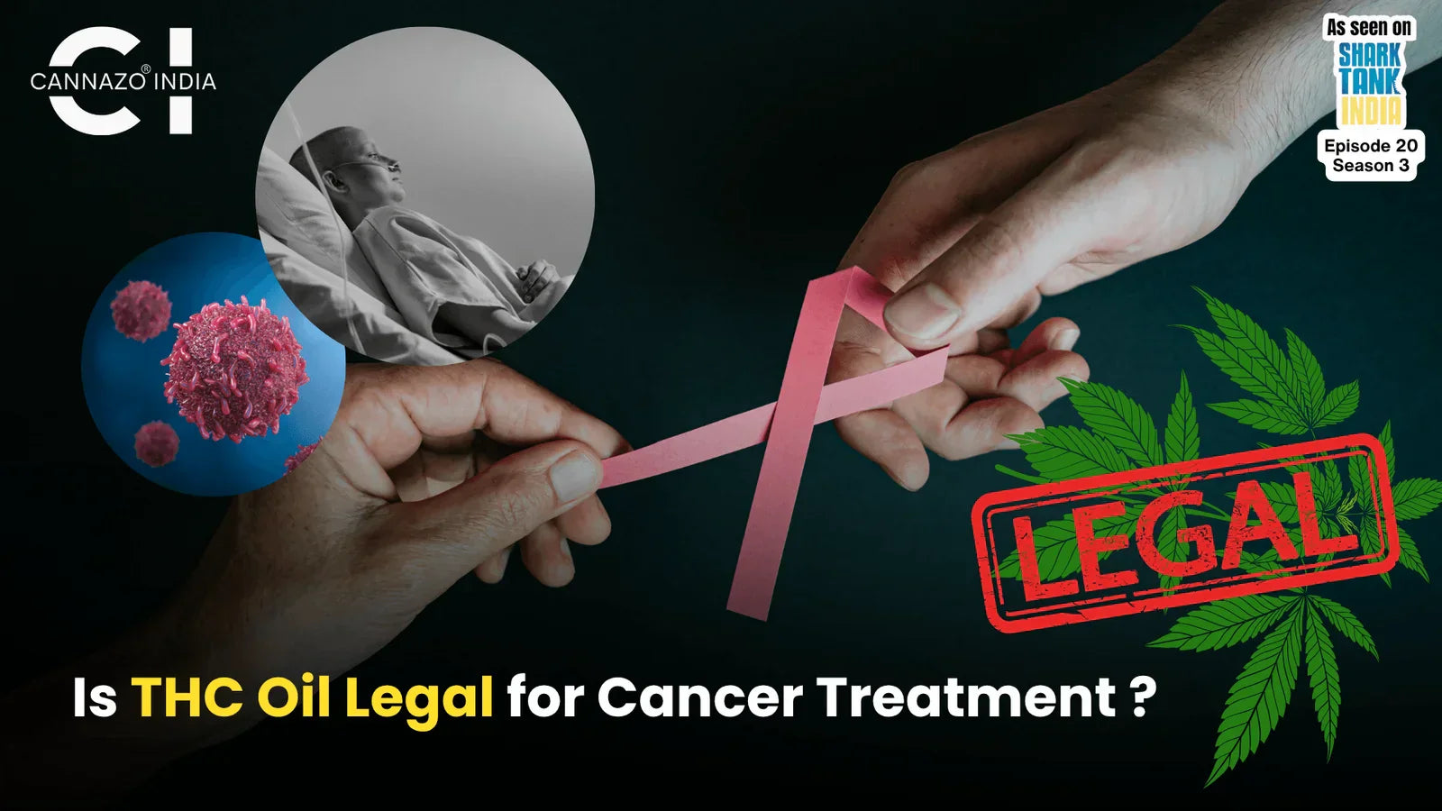 Is THC Oil Legal for Cancer Treatment? A State-by-State Guide