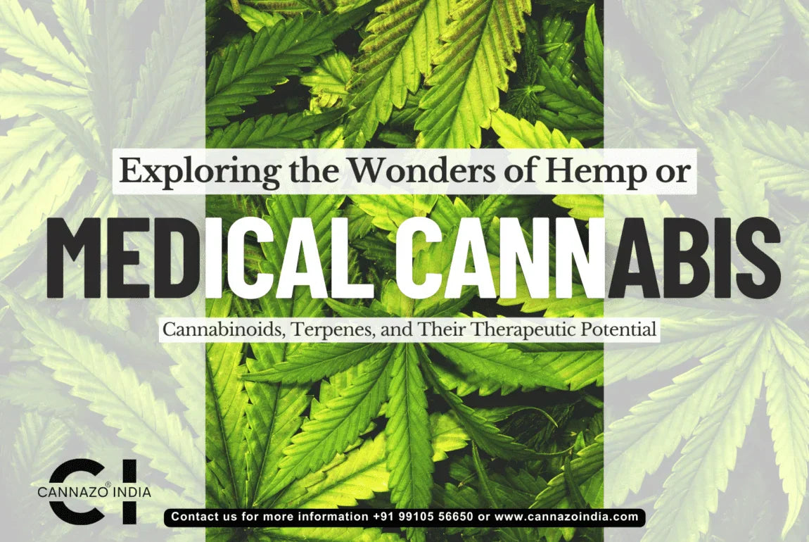 Medical Hemp (Vijaya): Uses, Benefits & How It Works (2026)