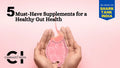 5 Must-Have Supplements for Healthy Gut Health