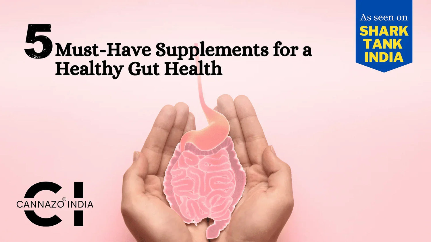 5 Must-Have Supplements for Healthy Gut Health