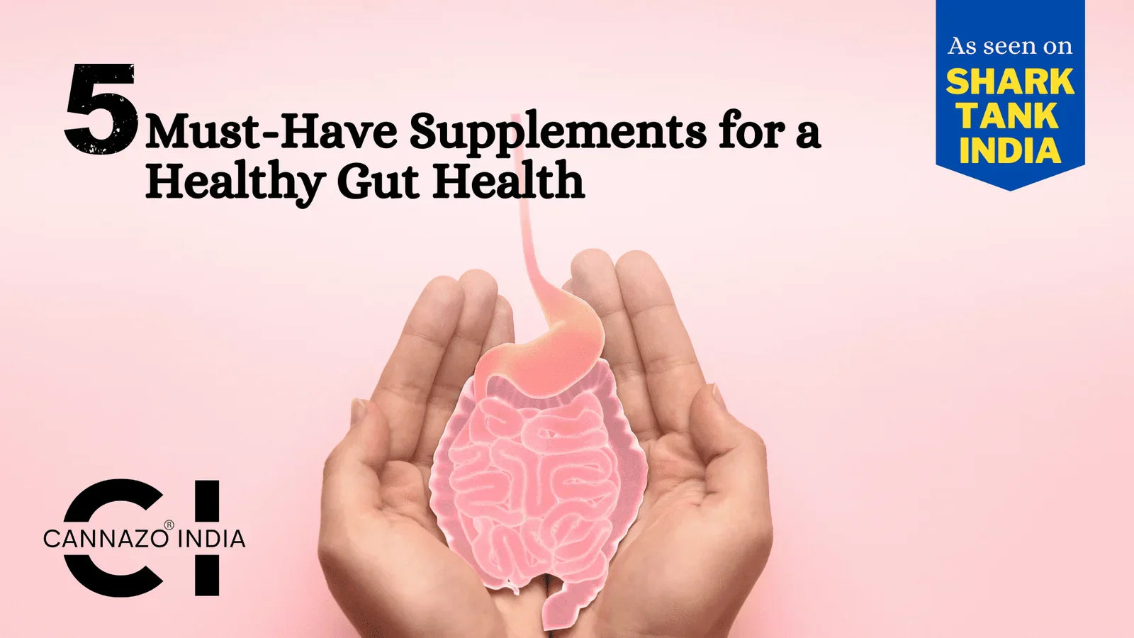 5 Must-Have Supplements for Healthy Gut Health