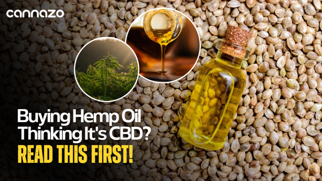 Hemp oil vs CBD oil in India: which one should you buy?