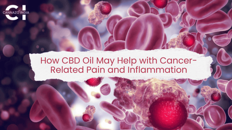 How CBD Oil May Help with Cancer-Related Pain and Inflammation