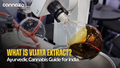 Vijaya Extract in Ayurveda: Ancient Cannabis Benefits & Uses