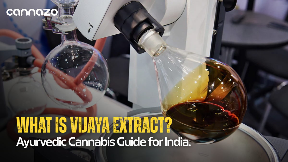Vijaya Extract in Ayurveda: Ancient Cannabis Benefits & Uses