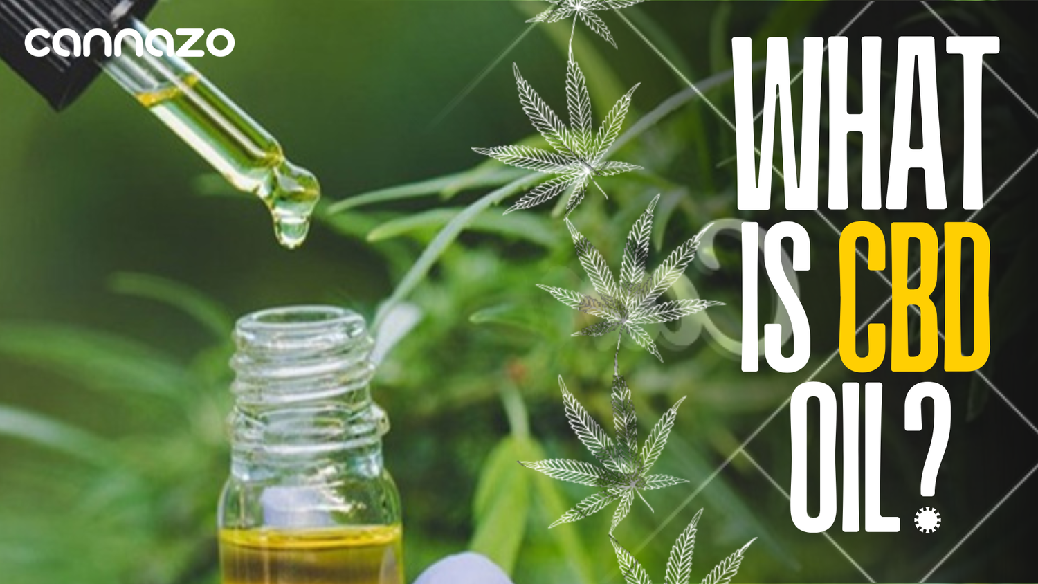 What Are the Different Types of CBD Oil and How Do They Work?