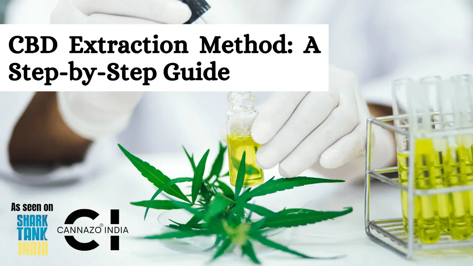 The Ultimate Guide to CBD Extraction Methods: Step-by-Step – Cannazo India