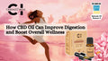 How CBD Oil Can Improve Digestion and Boost Overall Wellness