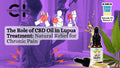 The Role of CBD Oil in Lupus Treatment: Natural Relief for Chronic Pain