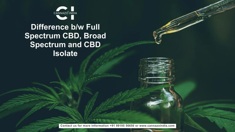 Difference b/w Full Spectrum CBD, Broad Spectrum and CBD Isolate