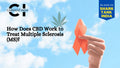 How Does CBD Work to Treat MS