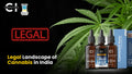 Is THC Oil Legal in India? What You Need to Know