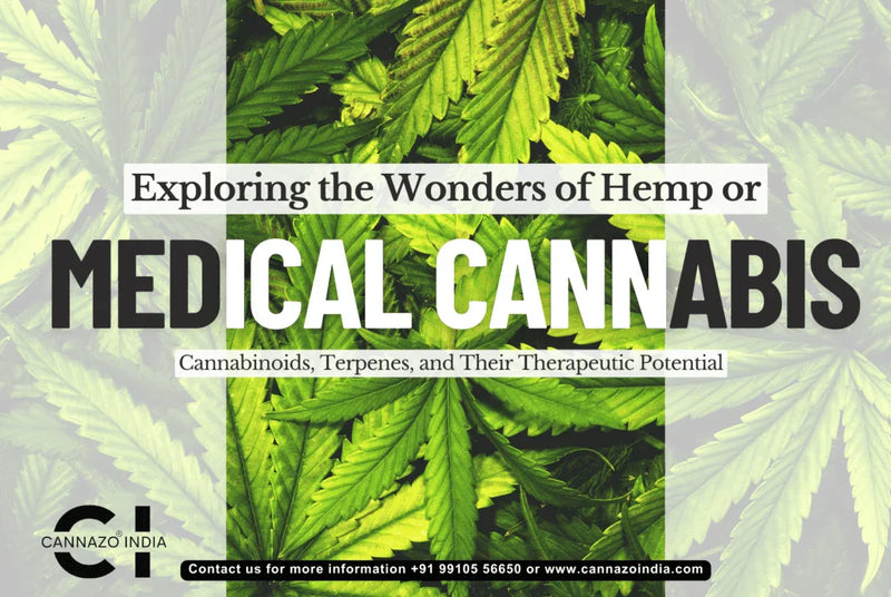 Medical Hemp (Vijaya): Uses, Benefits & How It Works (2026)