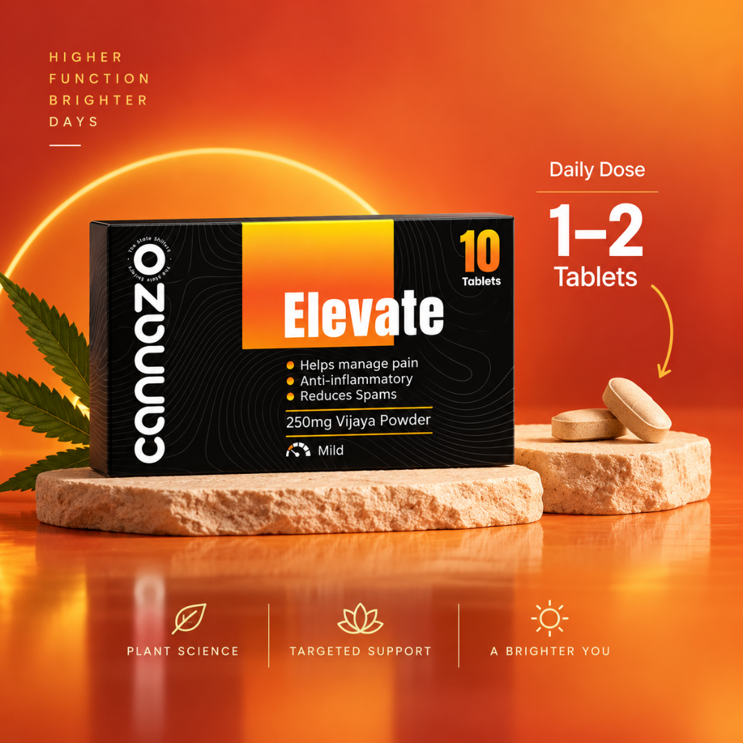Elevate 500mg Pain Tablets – Natural Support for Mild to Moderate Pain, Joint Pain & Inflammation