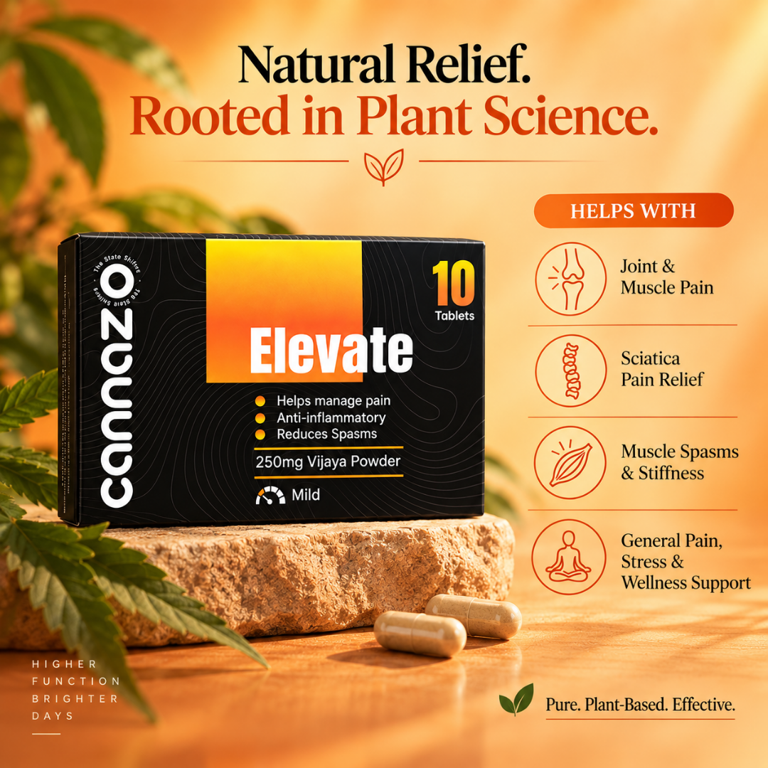 Elevate 500mg Pain Tablets – Natural Support for Mild to Moderate Pain, Joint Pain & Inflammation