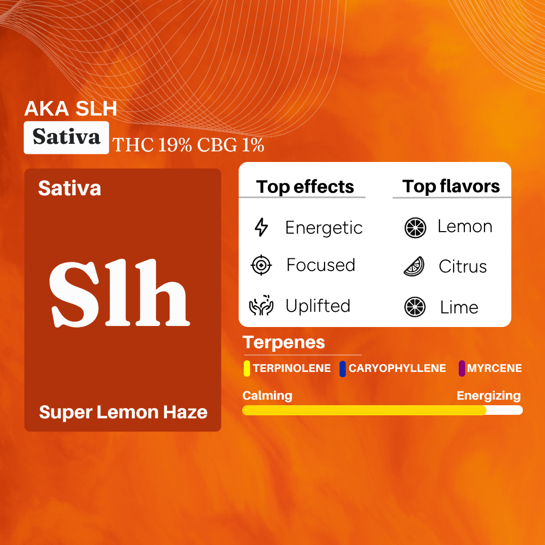 Uplift Plus: THC-Dominant Full-Spectrum Extract for Chronic Pain, De-Addiction and Insomnia
