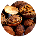 Cardamom Oil (Elettaria Cardamomum)