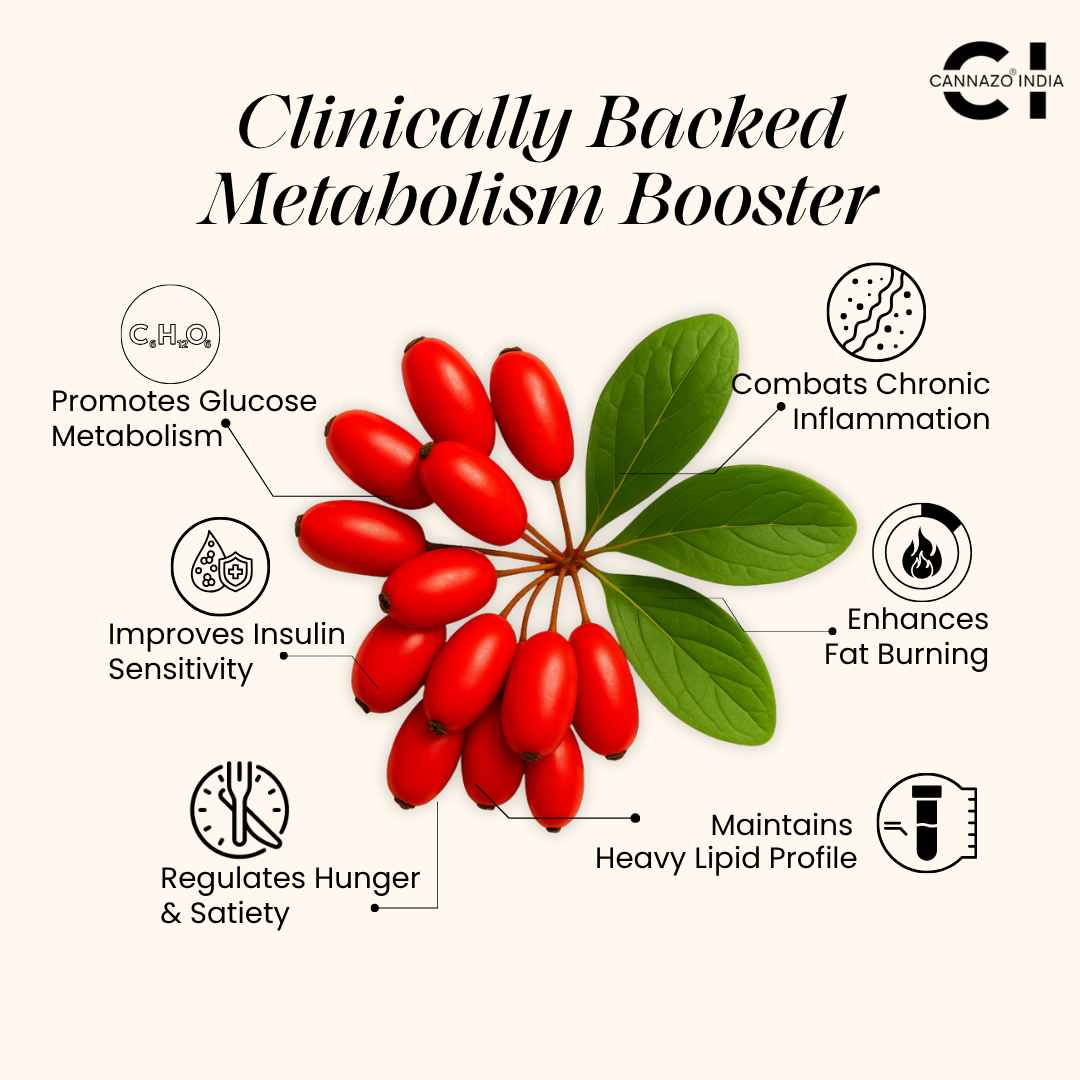 Liposomal Berberine 98% HCl+ - India's First High-Absorption Formula for Blood Sugar, Weight and Hormonal Balance