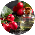 Wintergreen Oil (Gaultheria procumbens)