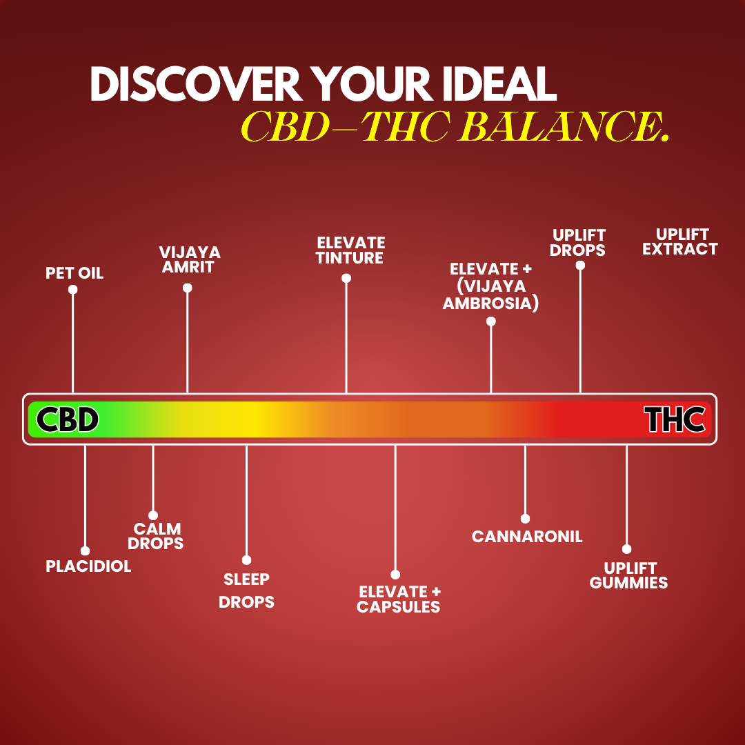 Elevate- Recovery CBD+THC Oil