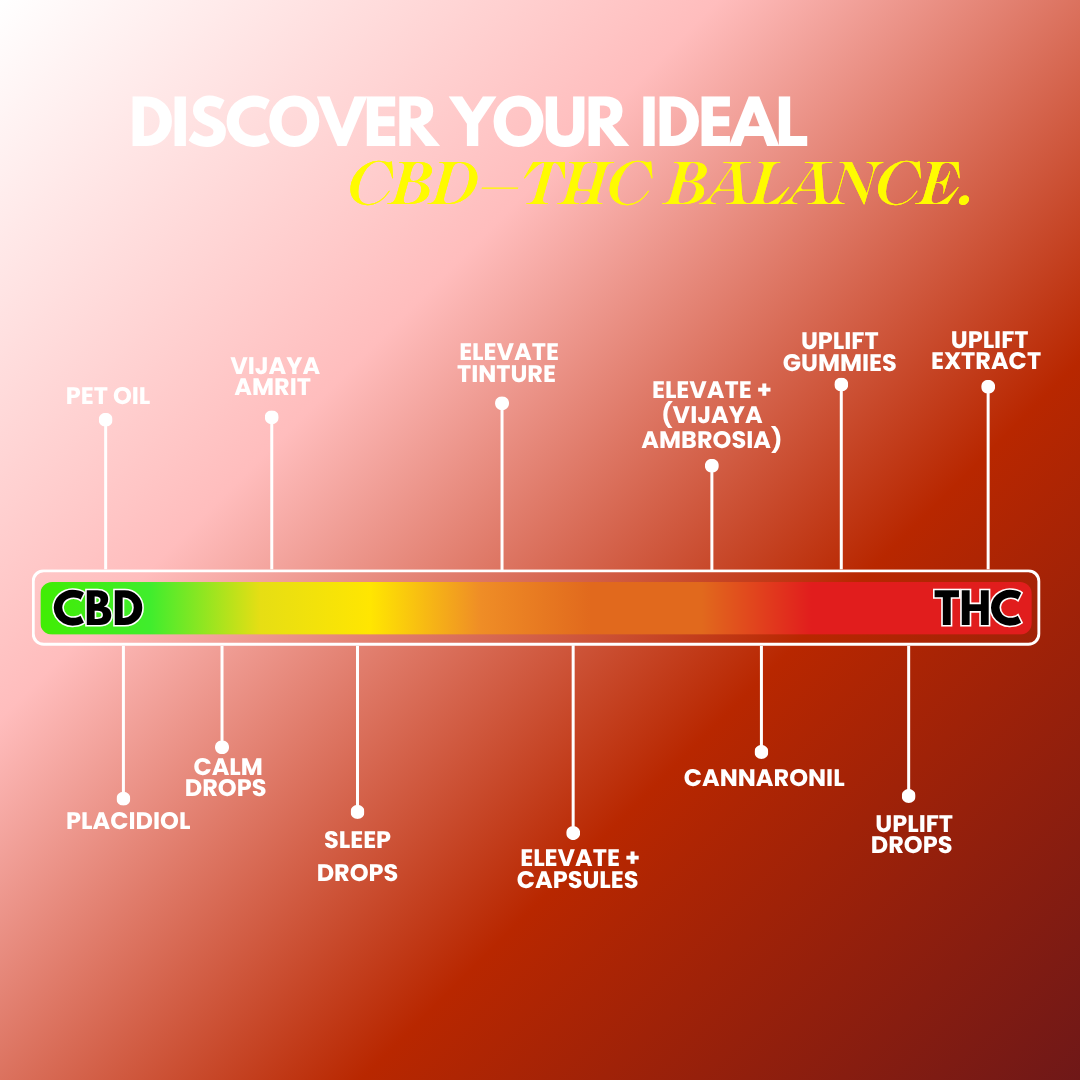 ELEVATE + Drops (Vijaya Ambrosia) – CBD+THC Formula