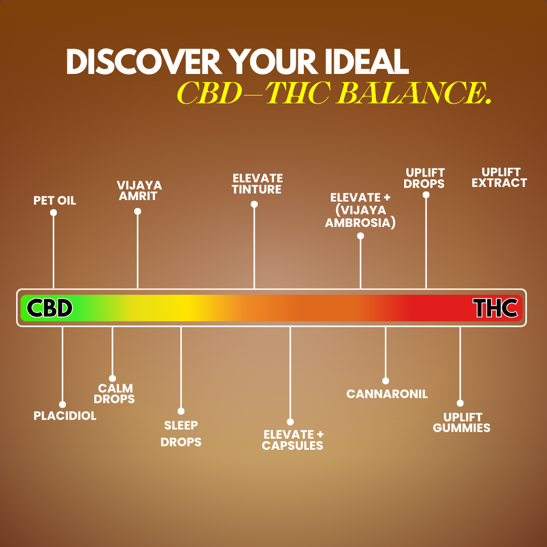 Placidiol: Pure CBD Drops (THC-Free) for Epilepsy, Autism and Neurological Support