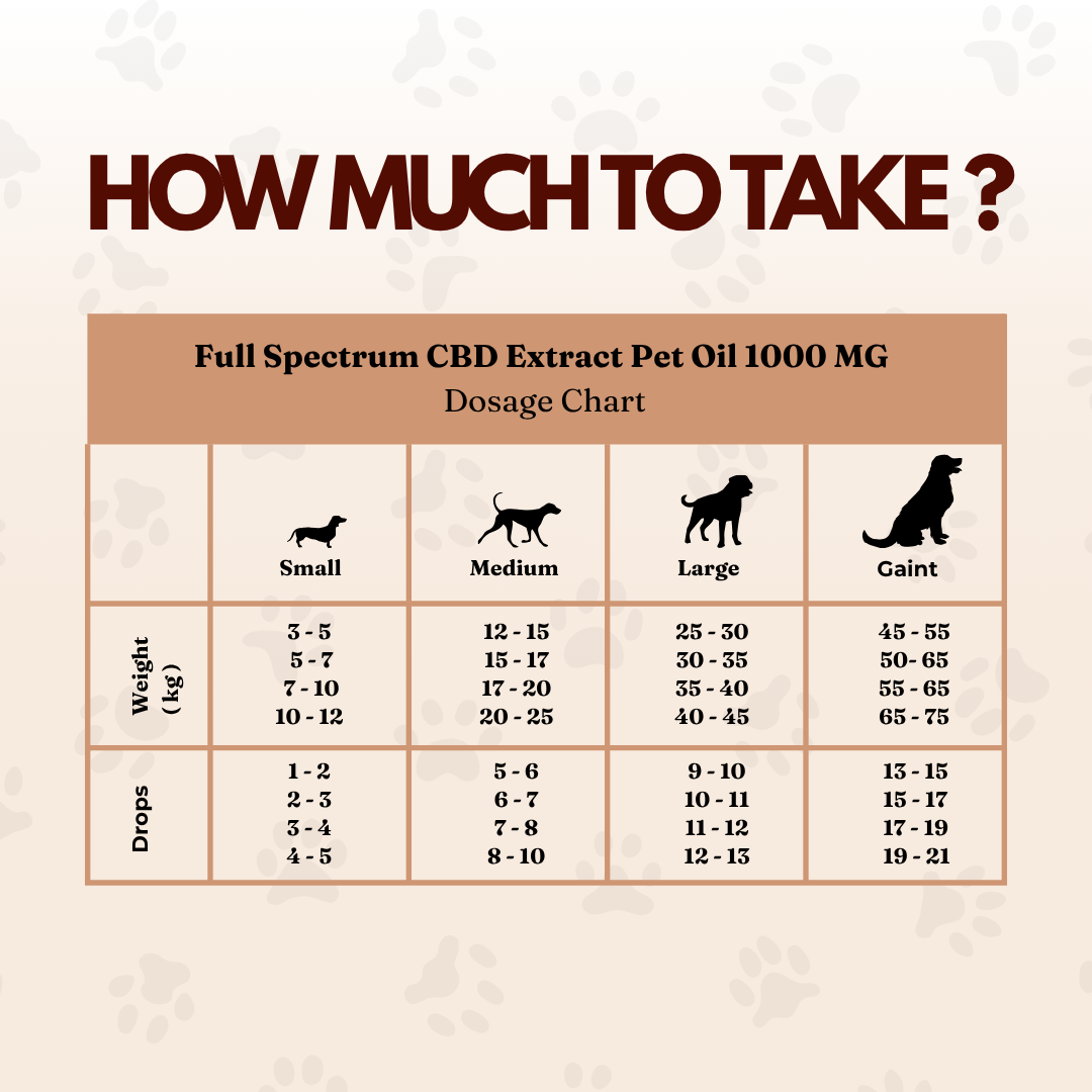 Cannazo India Pet CBD Oil | Cbd Oil for Dogs and Cats | THC-Free | AYUSH-Approved