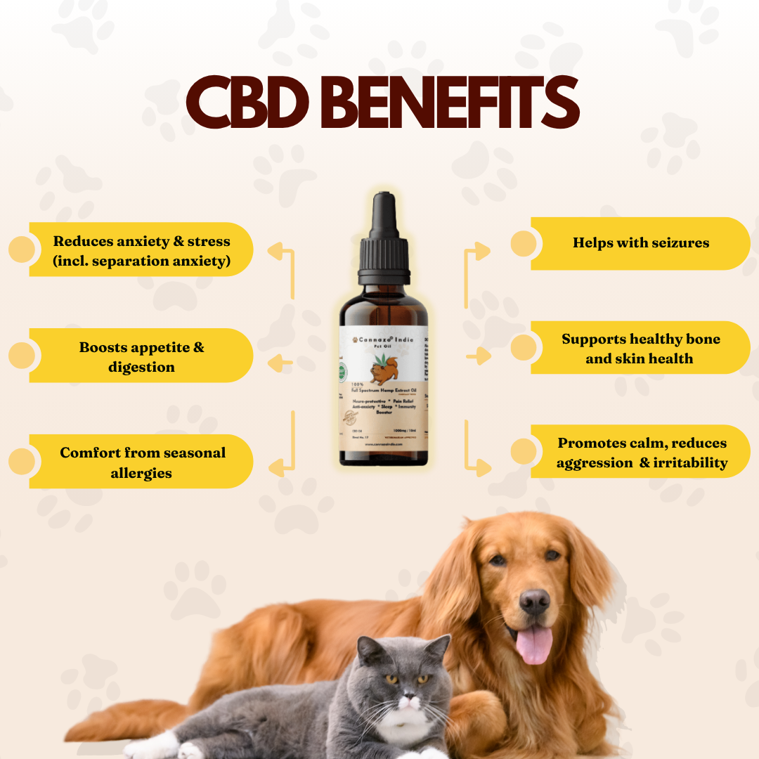 Cannazo India Pet CBD Oil | Cbd Oil for Dogs and Cats | THC-Free | AYUSH-Approved