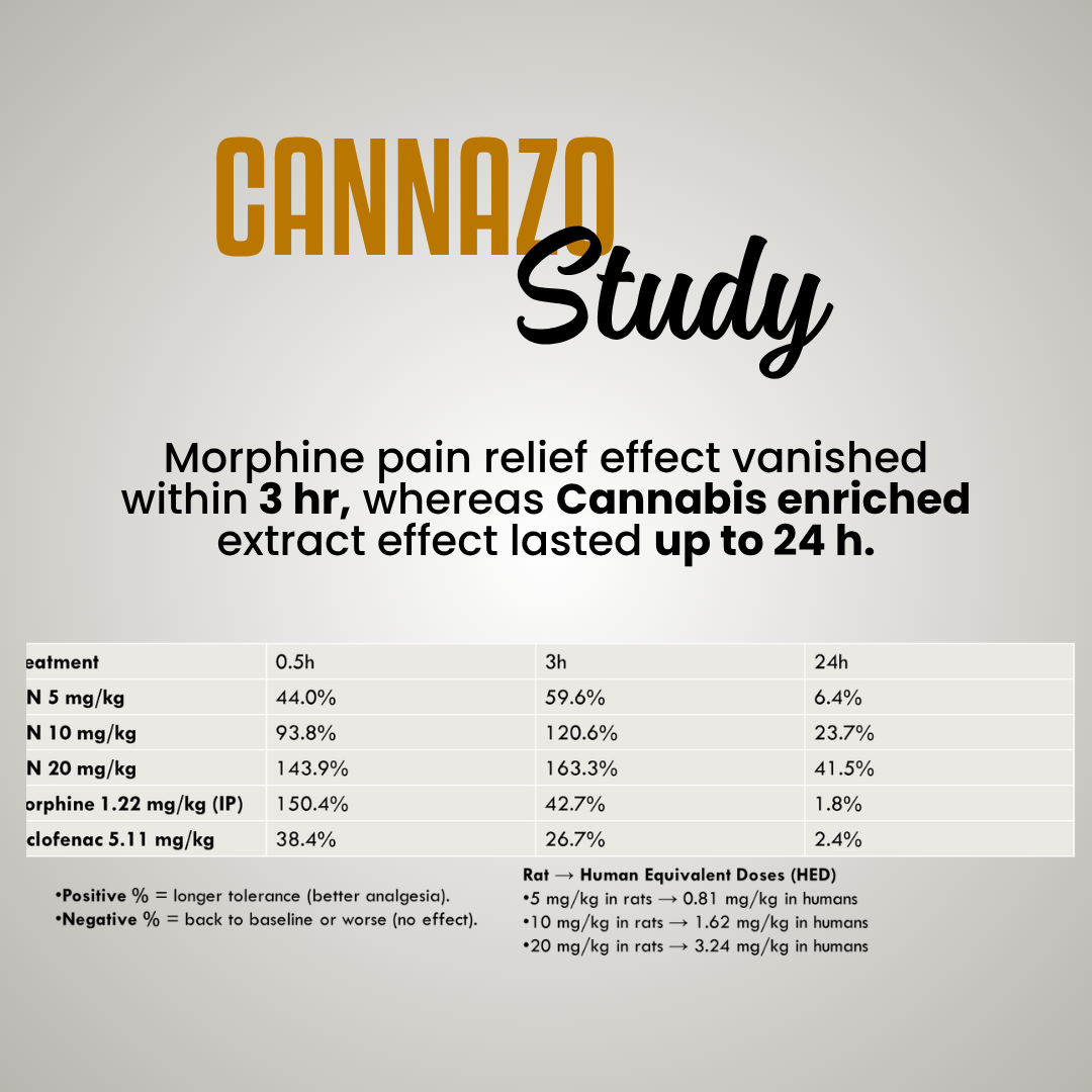 Cannaronil - RSO ( Rick Simpson Oil )