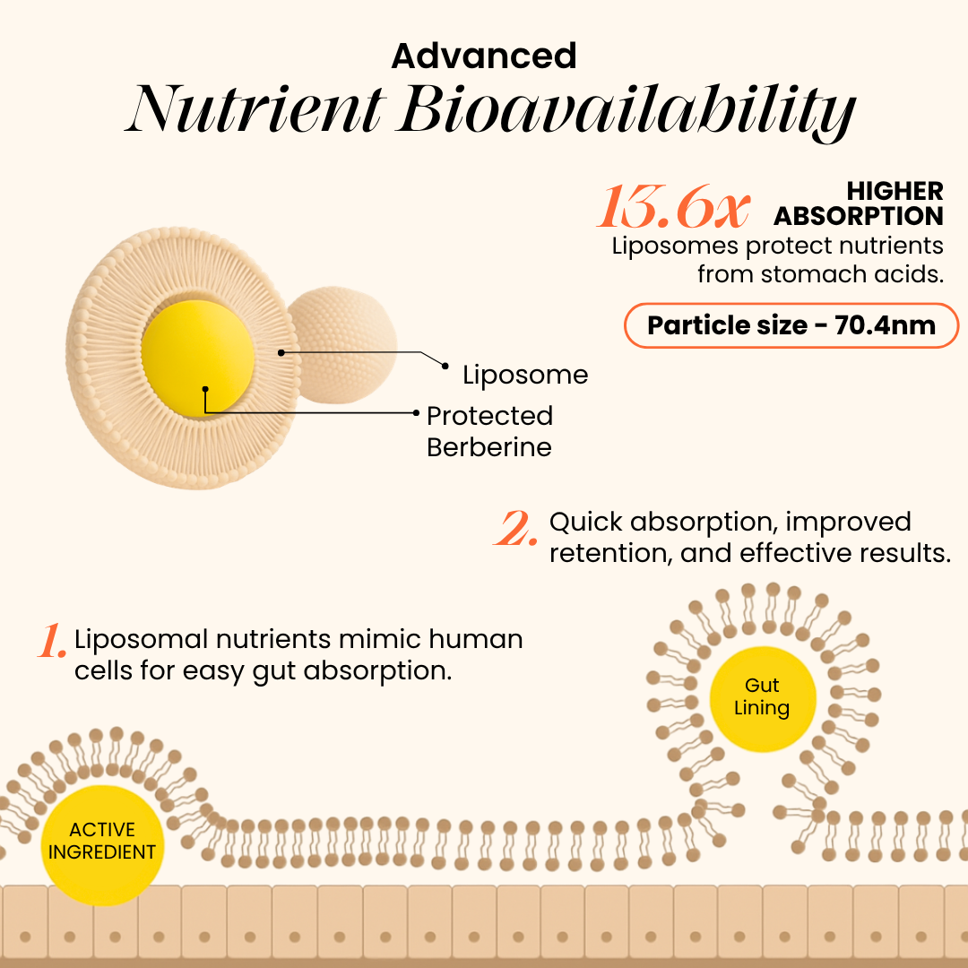 Liposomal Berberine 98% HCl+ - India's First High-Absorption Formula for Blood Sugar, Weight and Hormonal Balance