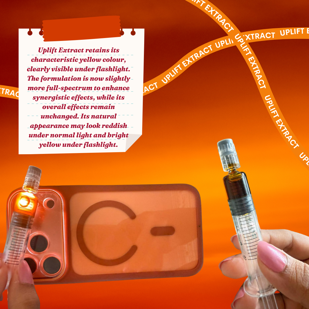 Uplift Plus: Strong Full-Spectrum Extract for Chronic Pain, De-Addiction and Insomnia