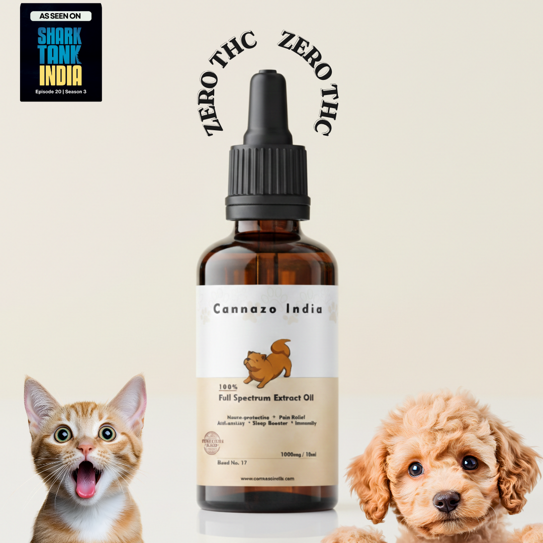 Cannazo India Pet CBD Oil | Cbd Oil for Dogs and Cats | THC-Free | AYUSH-Approved
