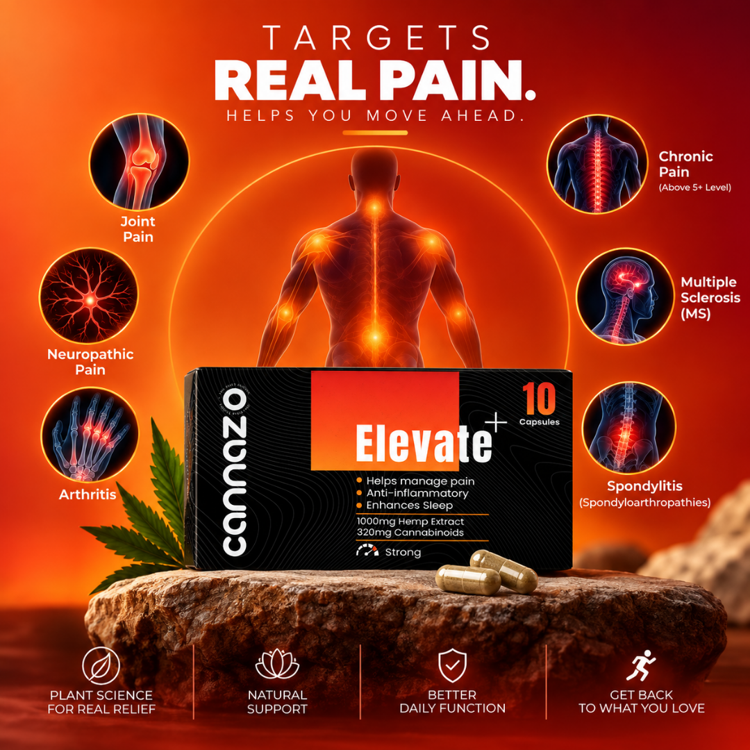 Elevate PLUS+ 100mg RSO extract Pain Capsules – CBD + THC for Chronic Pain & Inflammation Relief