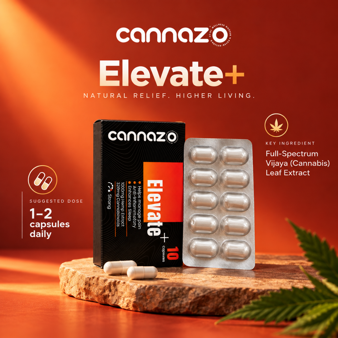 Elevate PLUS+ 100mg RSO extract Pain Capsules – CBD + THC for Chronic Pain & Inflammation Relief