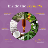 Brain Easer: Sleep - Ayurvedic Drops for Insomnia, Restlessness and Sleep Disorders