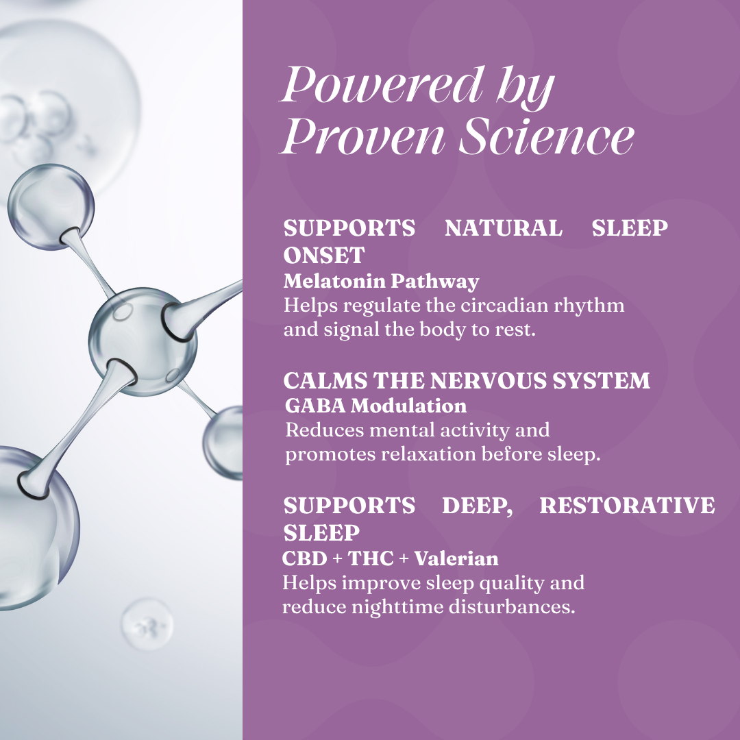 Brain Easer: Sleep - Ayurvedic Drops for Insomnia, Restlessness and Sleep Disorders