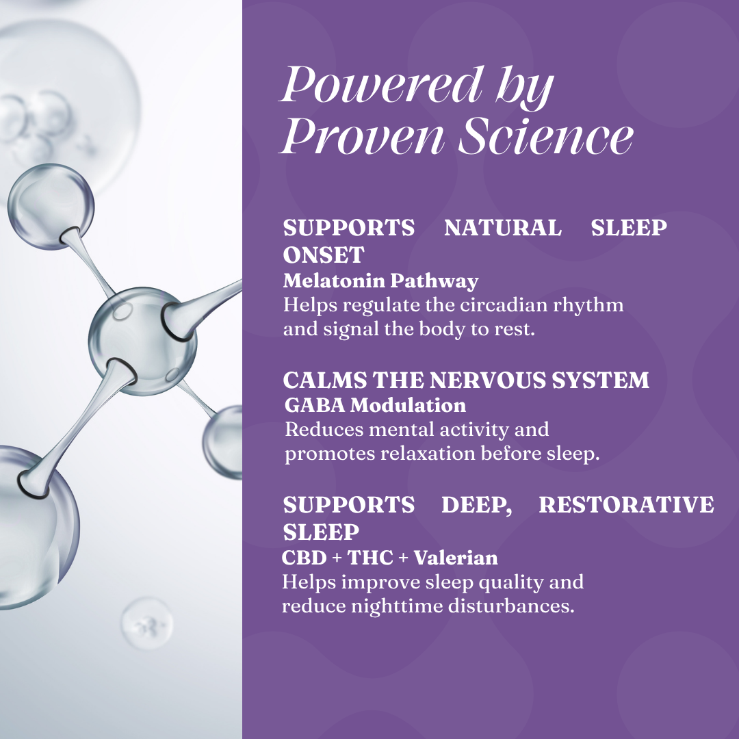 Brain Easer: Sleep - Ayurvedic Drops for Insomnia, Restlessness and Sleep Disorders