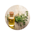 Phyto-Melatonin (Thyme Extract)
