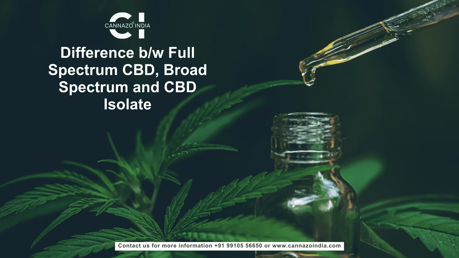 difference b/w full spectrum broad spectrum and cbd isolate