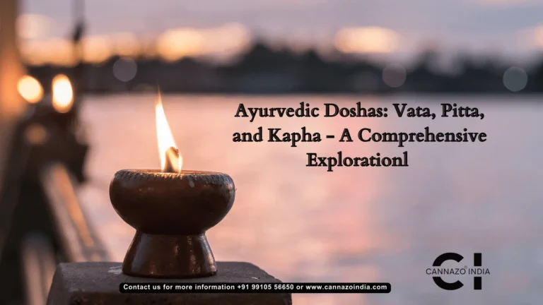 doshas of ayurveda vata pitta kapha