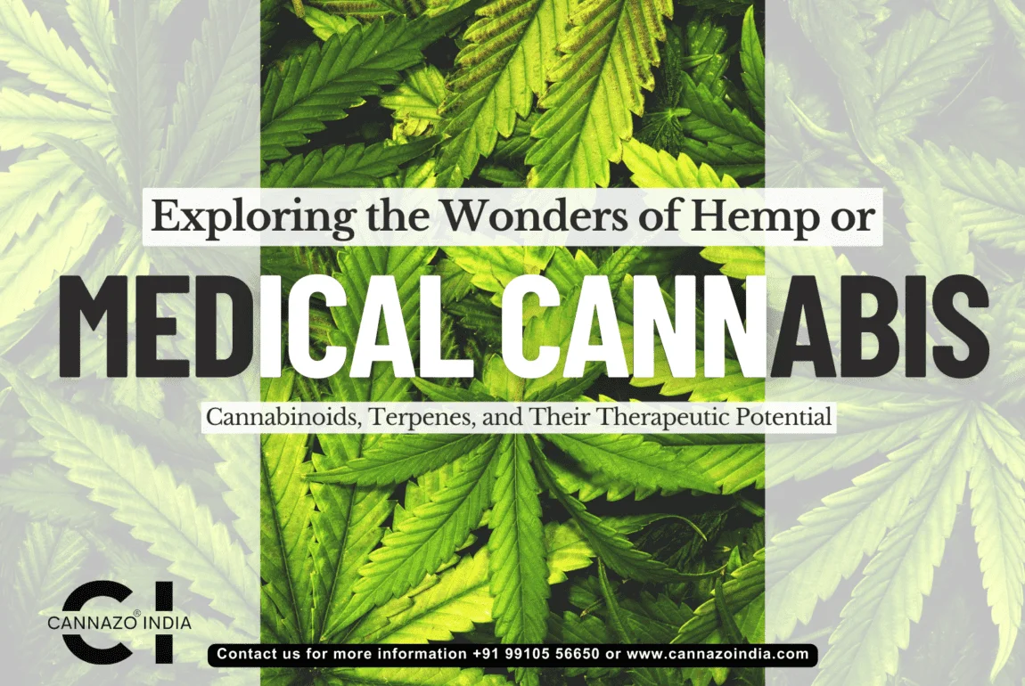 Exploring the Wonders of Hemp or Medical Cannabis: Cannabinoids, Terpenes, and Their Therapeutic Potential