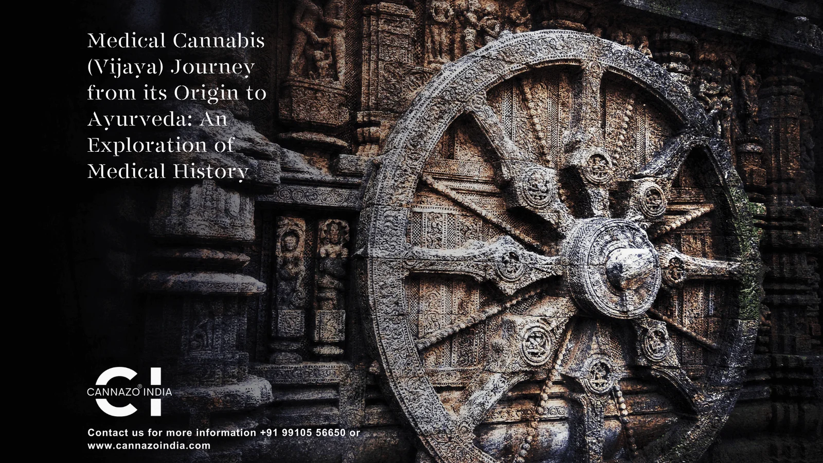 medical cannabis vijaya journey from its origin to ayurveda an exploration of medical history