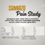 Cannaronil RSO (No MCT oil) THC dominant or Balanced Golden Ratio - Image 5