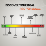 Cannaronil RSO (No MCT oil) THC dominant or Balanced Golden Ratio - Image 7