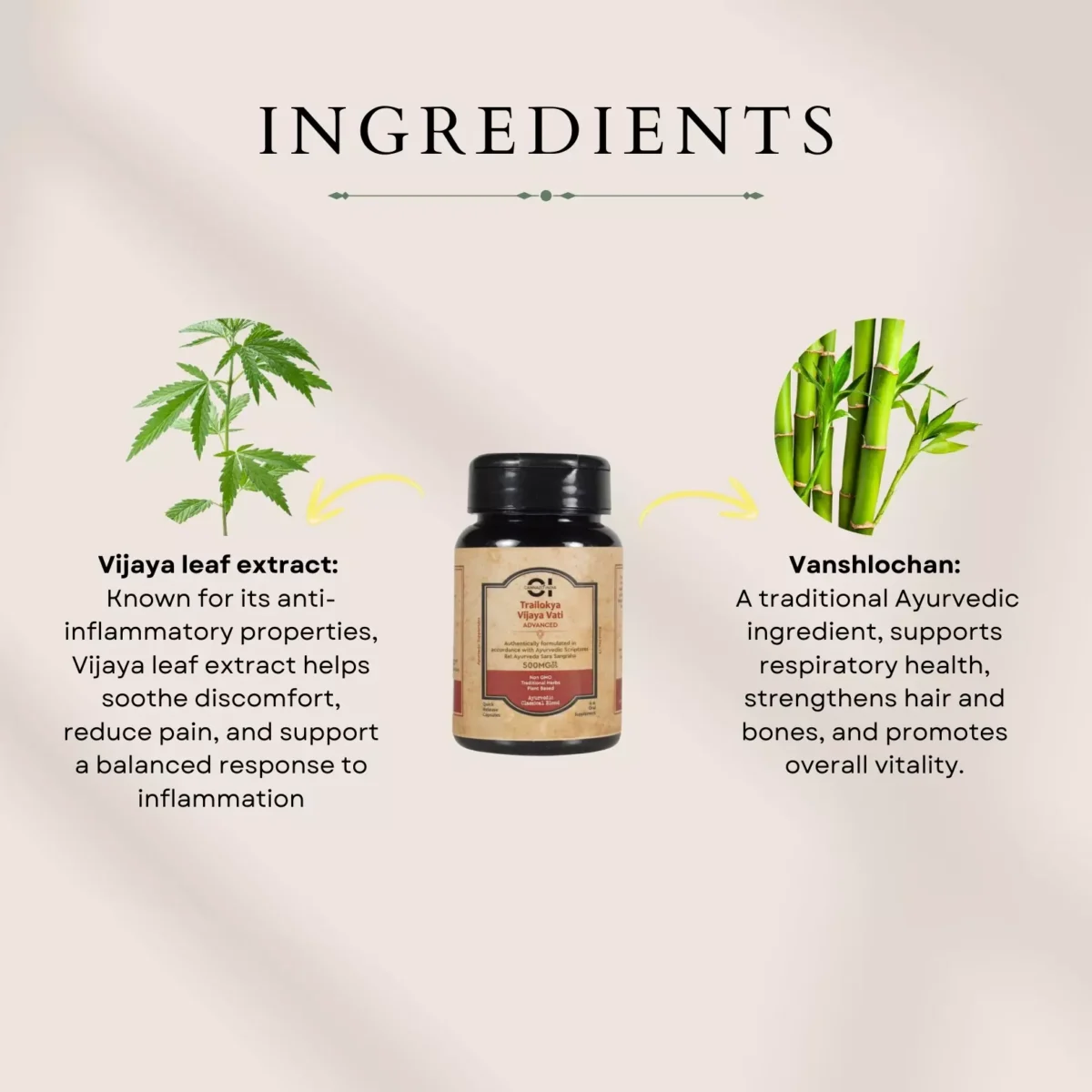 3 Cannazo India - Trailokya Vijaya Vati - Ingredients