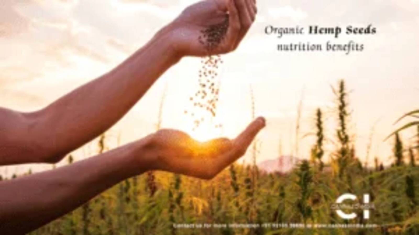 Organic Hemp Seeds nutrition benefits