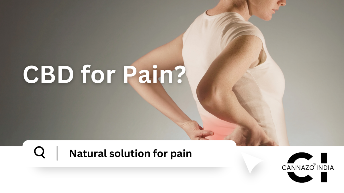 CBD Oil for Pain Relief - Cannazo India