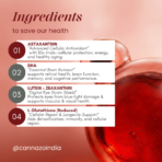 Japanese AstaReal Astaxanthin 7mg with DHA & L-Glutathione - Image 4